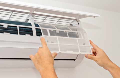 removing mold