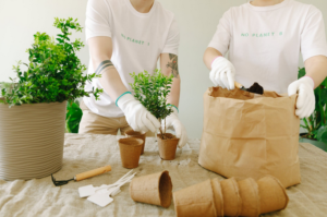 gardening